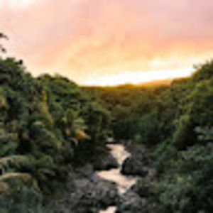 Meet your Posher, Braden